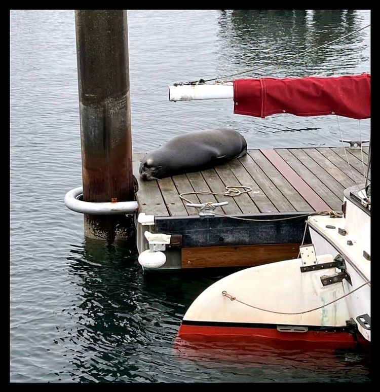 Unpaid Advertisement: Your Body