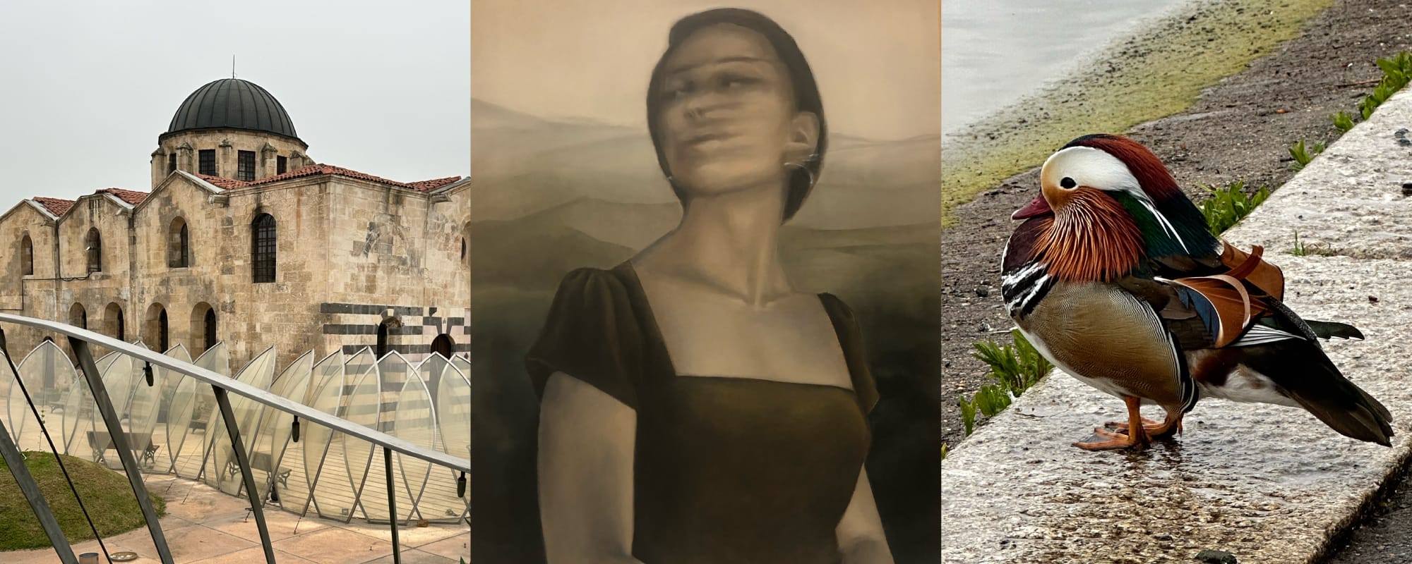 From left to right: Photograph of a Restored Aziz Bedros Church, Gaziantep, Turkey / Photograph of a painting of a woman whose head seams to be in motion by Nesligül Cebesoy / Mandarin duck in Hyde Park, London, UK. Photo credit Amina Patak Çağlar