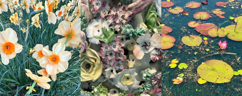 From left to right: Photograph of Daffodils, Istanbul, Turkey / Photograph of ceramic vase detail, collection of Victoria and Albert Museum / Photograph of water lilies, Royal Botanical Garderns Edinburgh. Photo credit: Amina Patak Çağlar