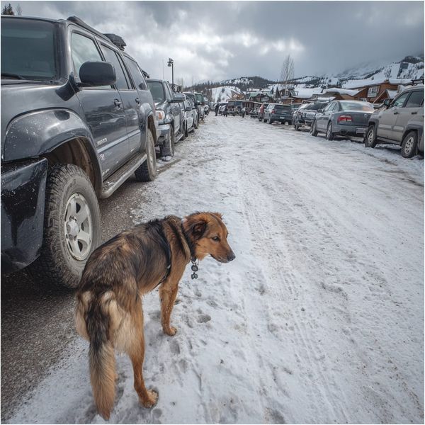 Bridger Bowl Condo Scheme Derailed by Underdog