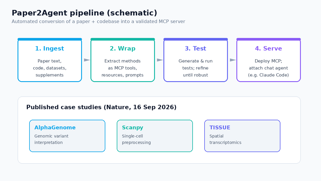 Paper2Agent pipeline schematic: ingest, wrap, test, serve