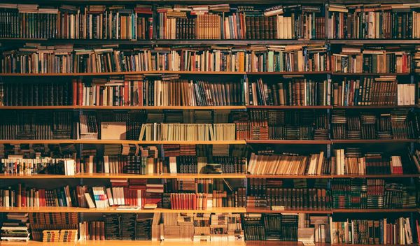 open books on a wooden shelf, Unsplash