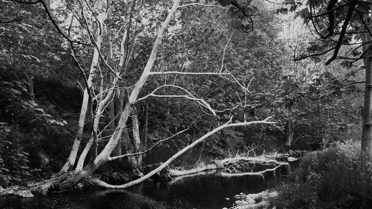 A river walk