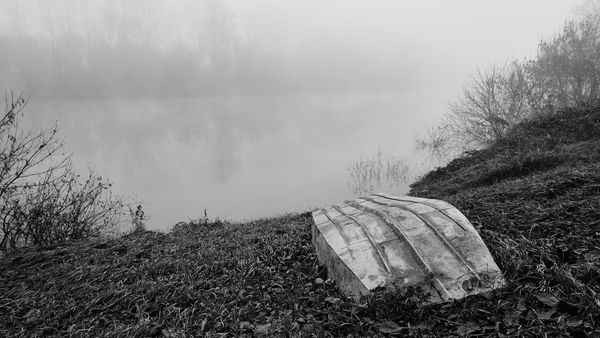 Issue 33: New beginnings...