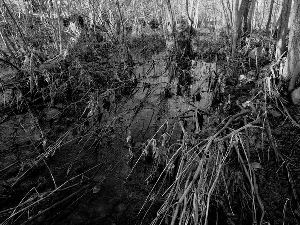 Climate change and photojournalism