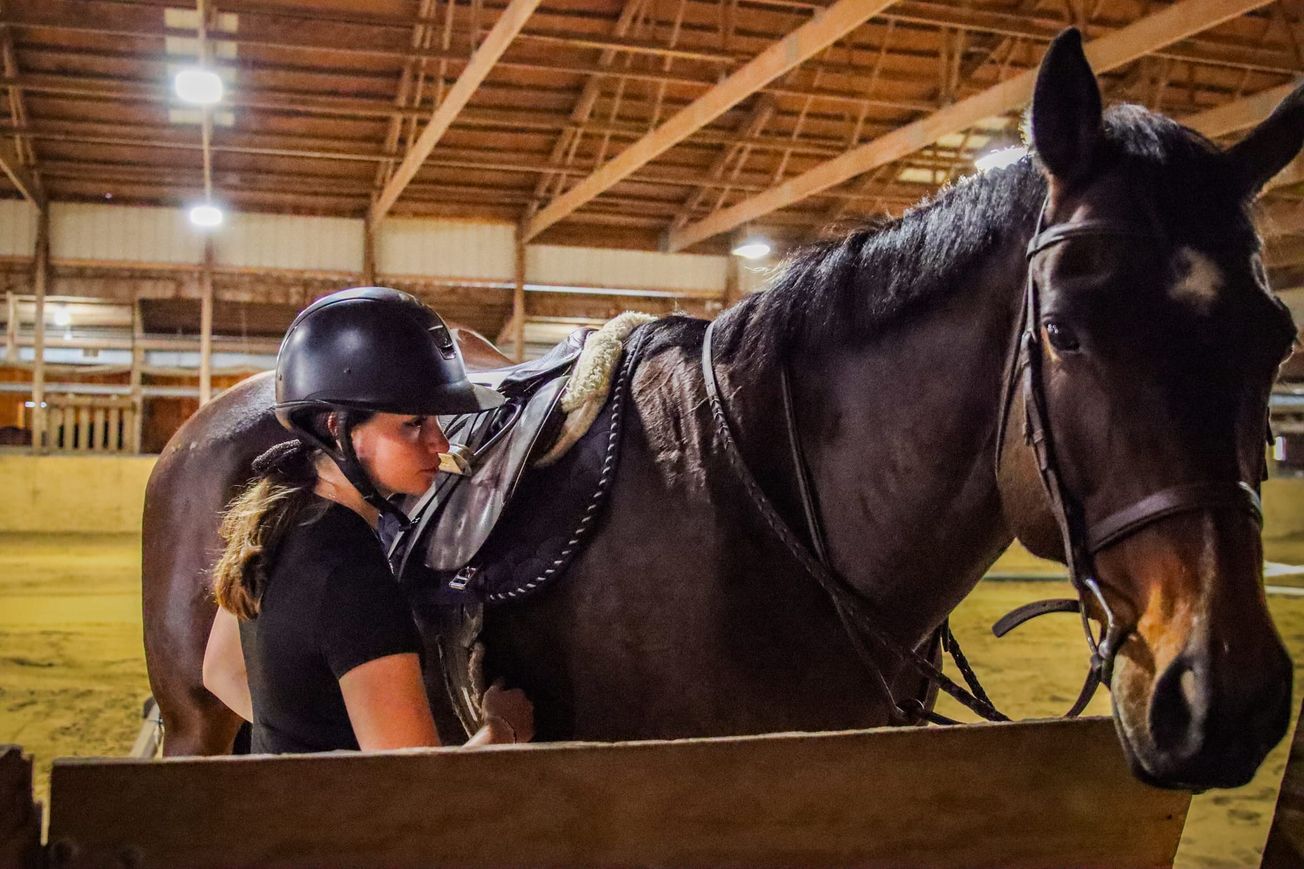 KU equestrian team using passion and practicality to keep sport alive