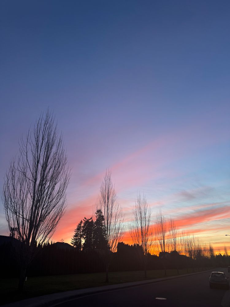 You can't shortcut survival