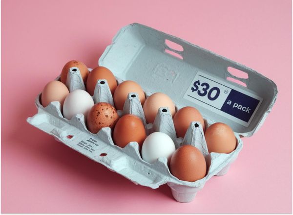 Cooking Tips for Parents Trying To Survive the Economy In Brooklyn