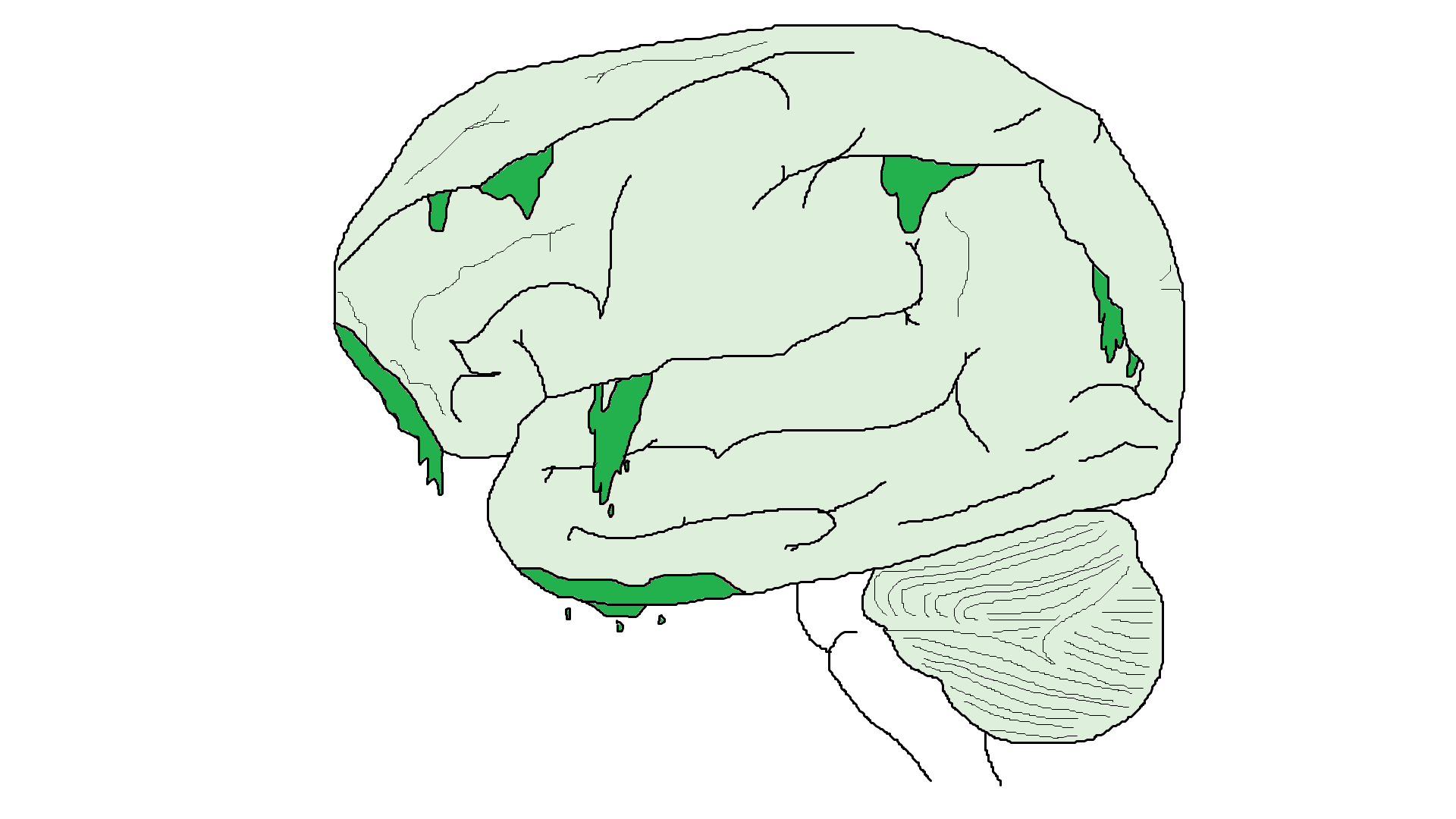 Occupied mind and information poisoning