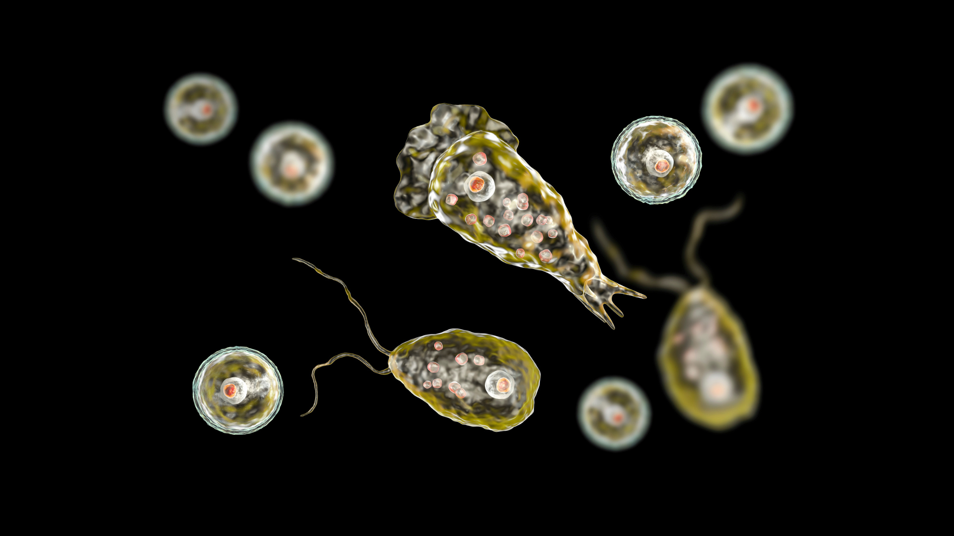 This Brain-Eating Amoeba Almost Killed Him After He Snorted Lake Water