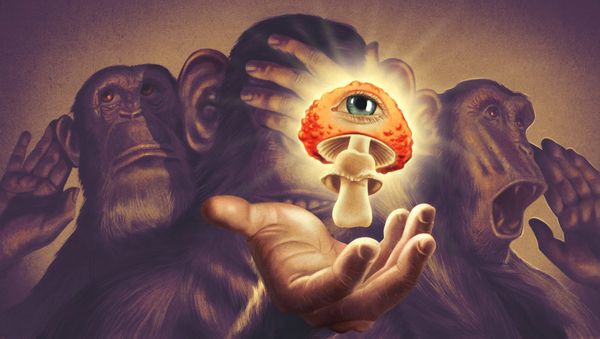 Stoned Ape Theory