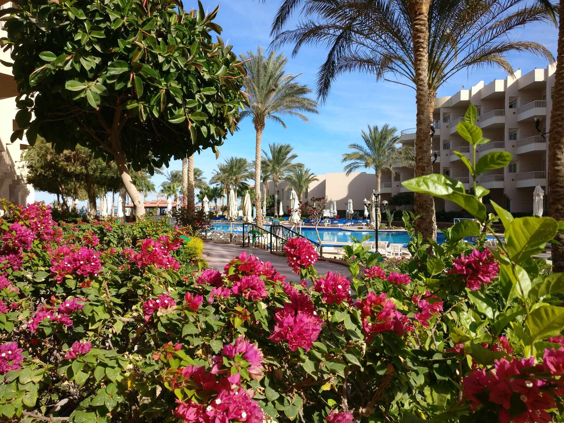 IMG_20171124_124358-1