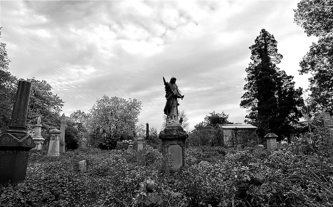 REAPER'S DIGEST: Only Death Is Real