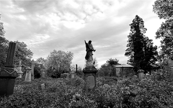 REAPER'S DIGEST: Only Death Is Real