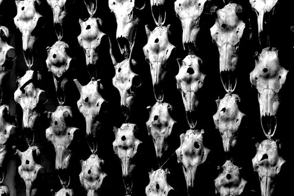 Reflections on the First Salvo