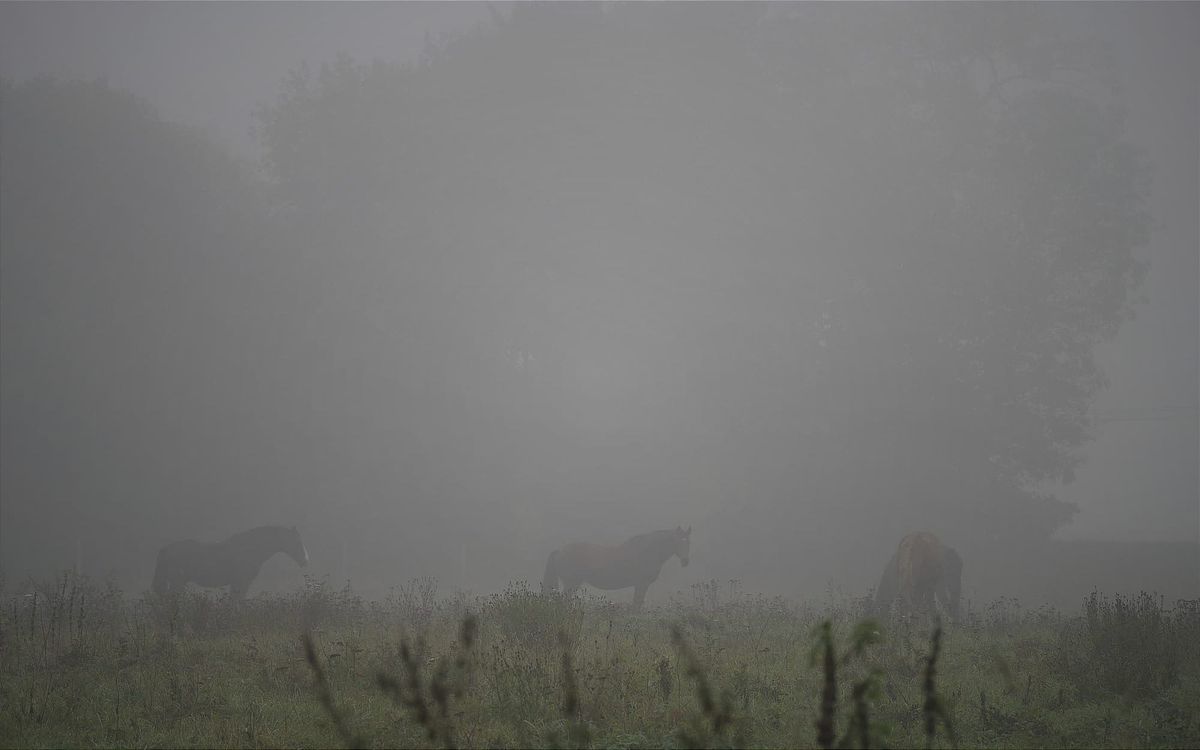 A Spoke in the Wheel: When Daydreams Meet Deadlocks