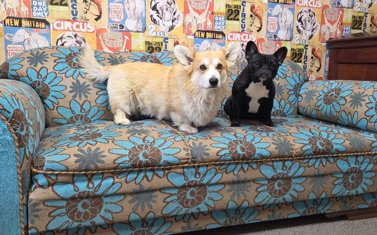 The Snail’s Pace: Giving New Life to an Estonian Classic