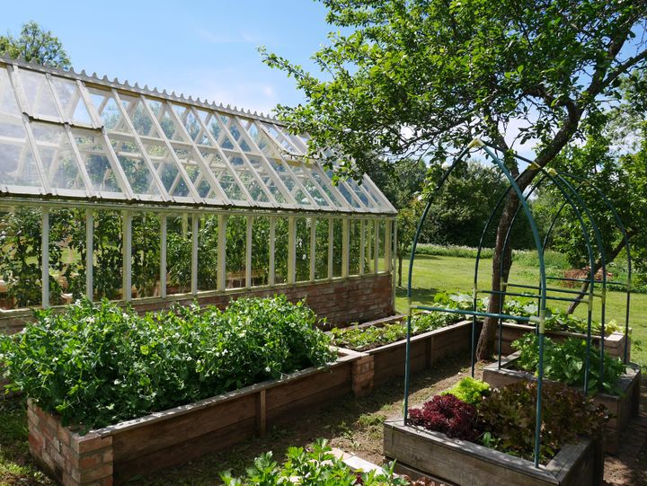 Project Finished! The Corgi-Approved Garden Greenhouse