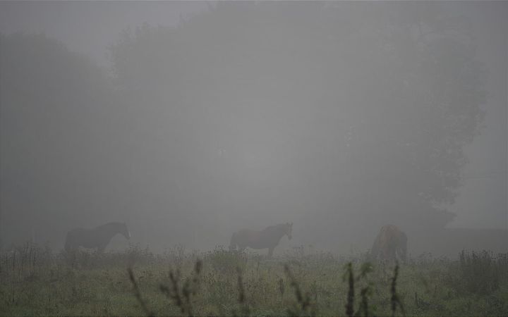 A Spoke in the Wheel: When Daydreams Meet Deadlocks