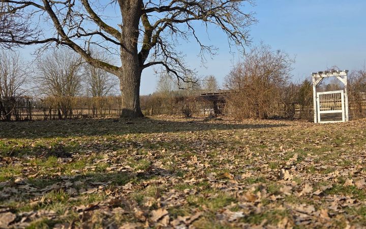 Plans That’ll Make Your Head Spin