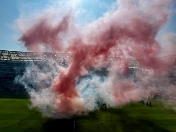 Holy cow, we're now free!