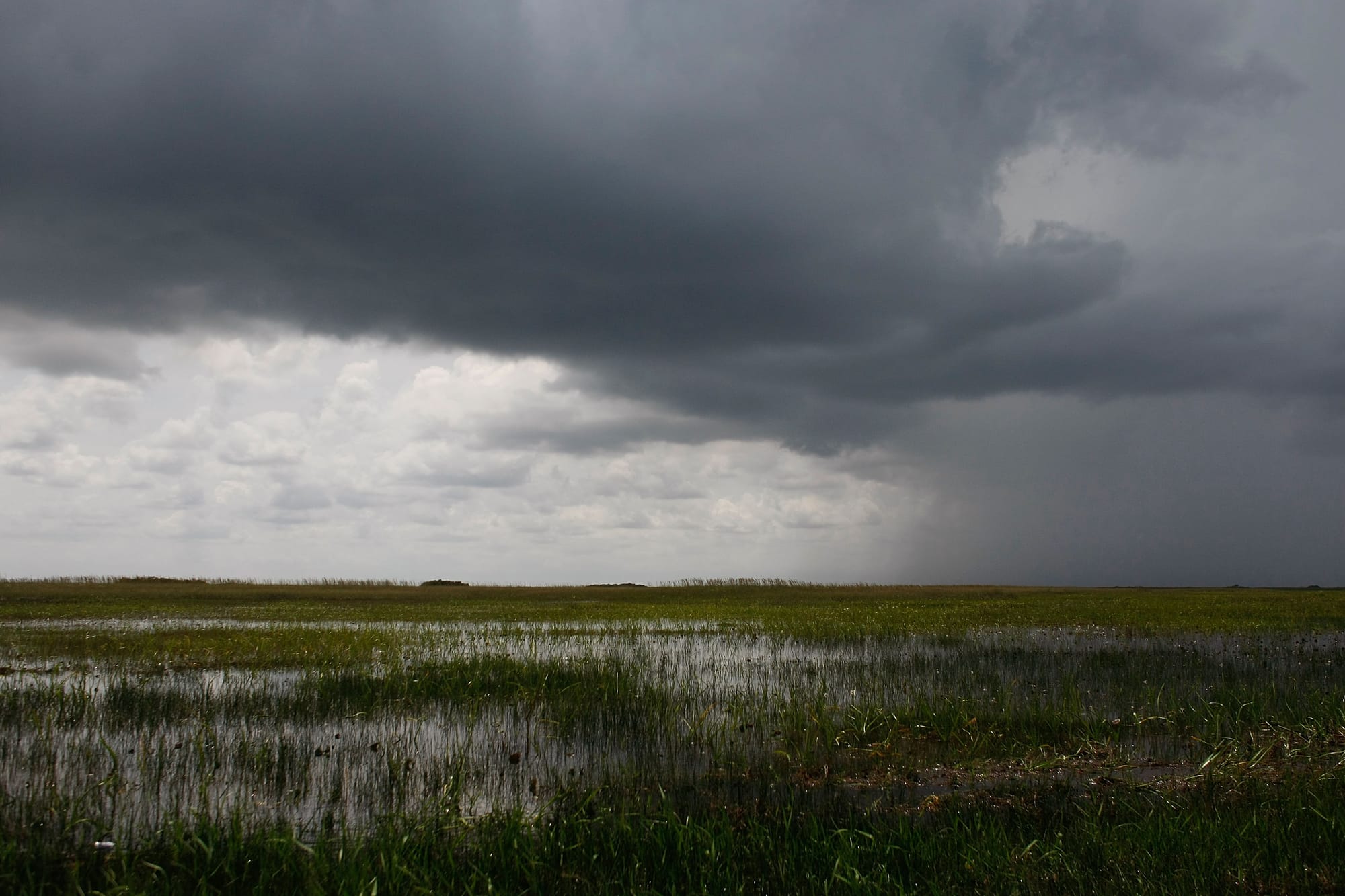 EVERGLADES, FL - MAY 28: Rain clouds hover over the Everglades as United States Secretary of the Interior Ken Salazar, United States Senator Bill Nelson (D-FL), and Florida Governor Charlie Crist tour the park on an airboat on May 28, 2009 in the Everglades, Florida. Salazar visited the Everglades to get a first hand look at the park and get a briefing on invasive species. (Photo by Joe Raedle/Getty Images)
