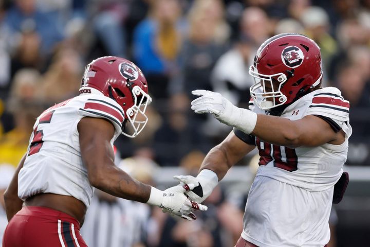 NASHVILLE, TENNESSEE - NOVEMBER 09: T.J. Sanders #90 and Dylan Stewart #6 of the South Carolina Gamecocks celebrate after a play during the second half of the game between Vanderbilt and Sout