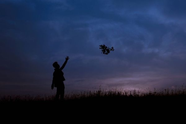 The Art of Detachment (From Sadness and Happiness Alike)