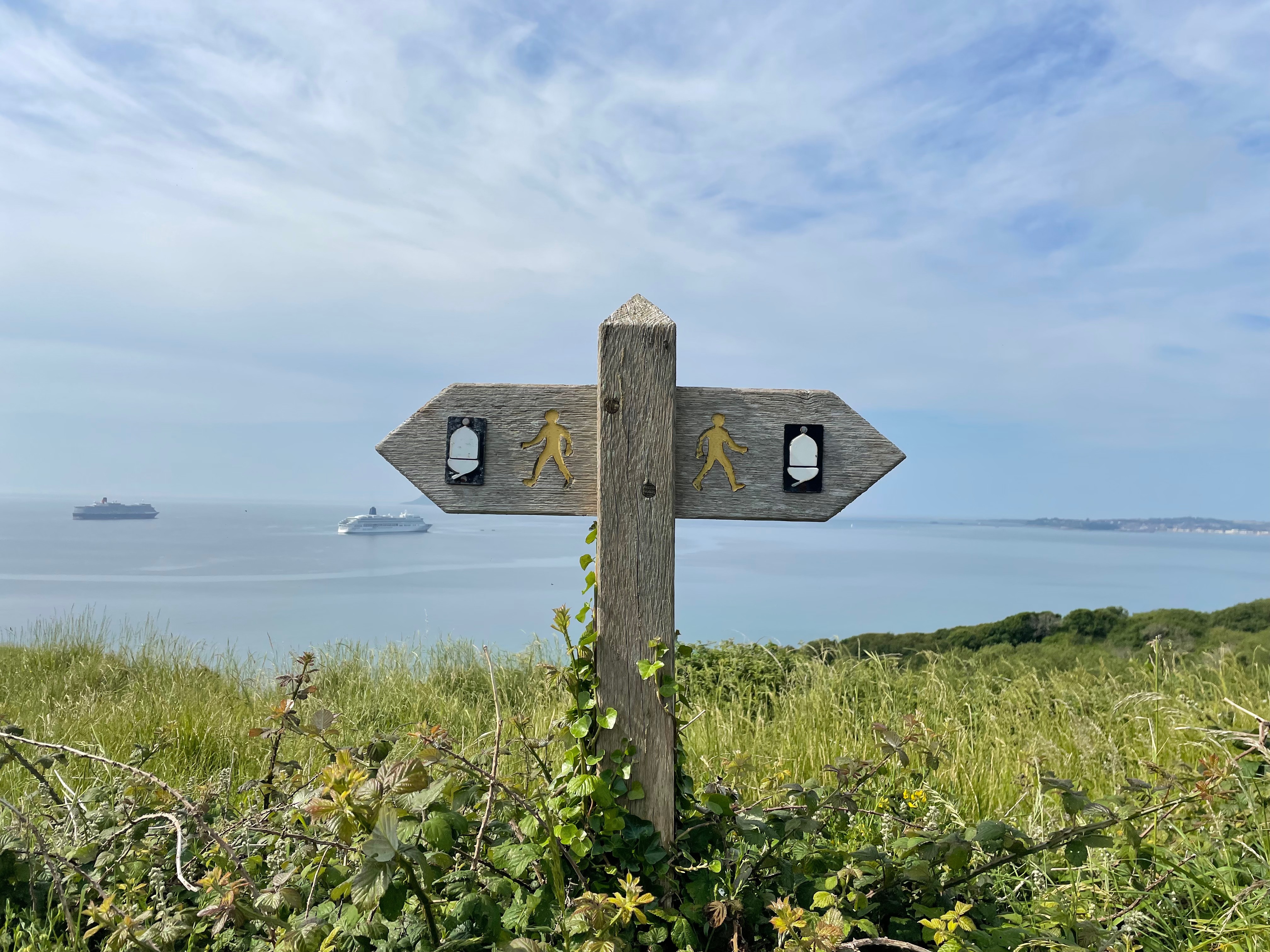 Choice Point