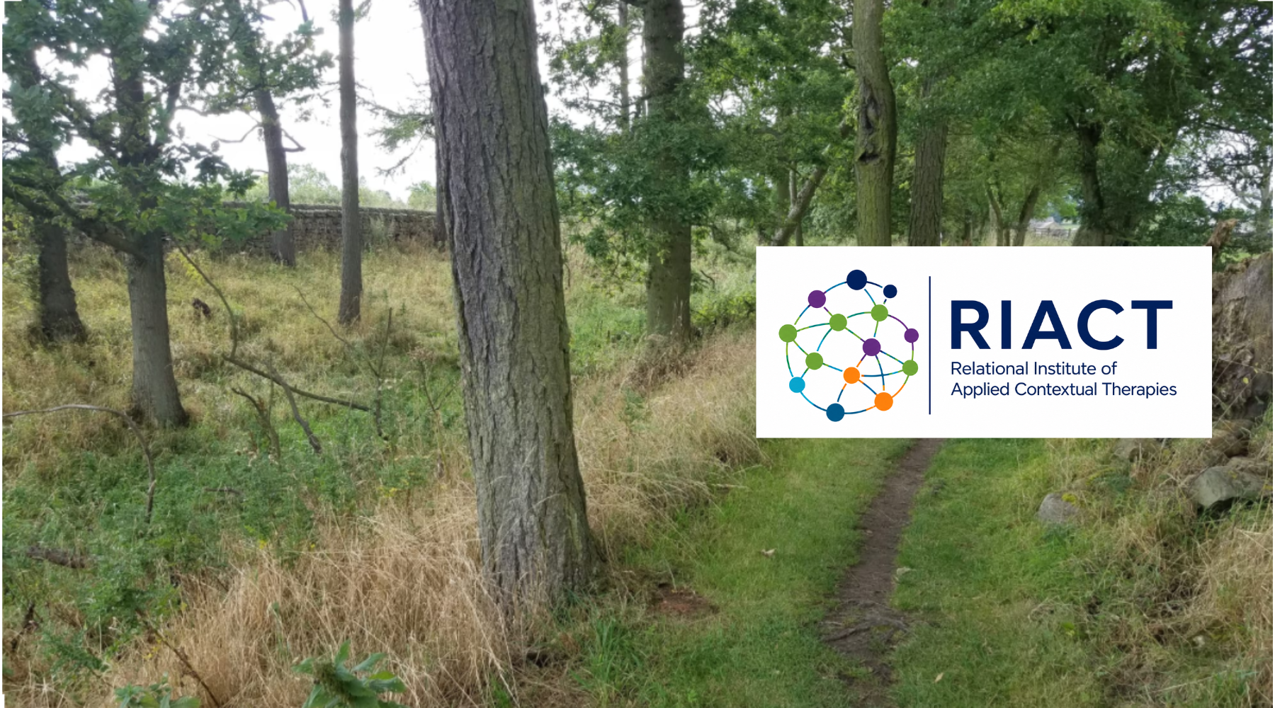 Welcome to RIACT