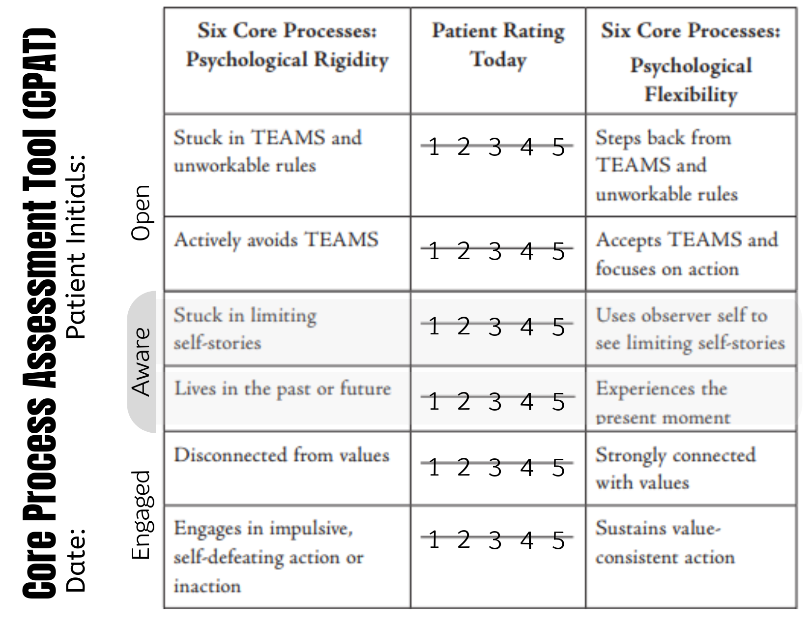 Core Process Assessment Tool (CPAT)