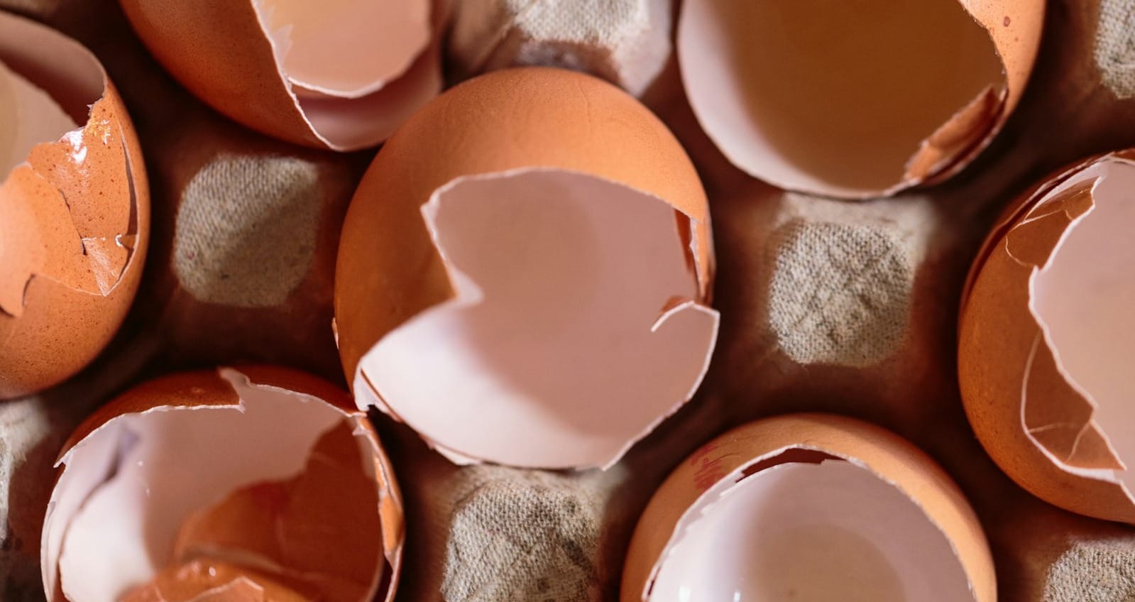Teaching Vignette: Walking on Eggshells