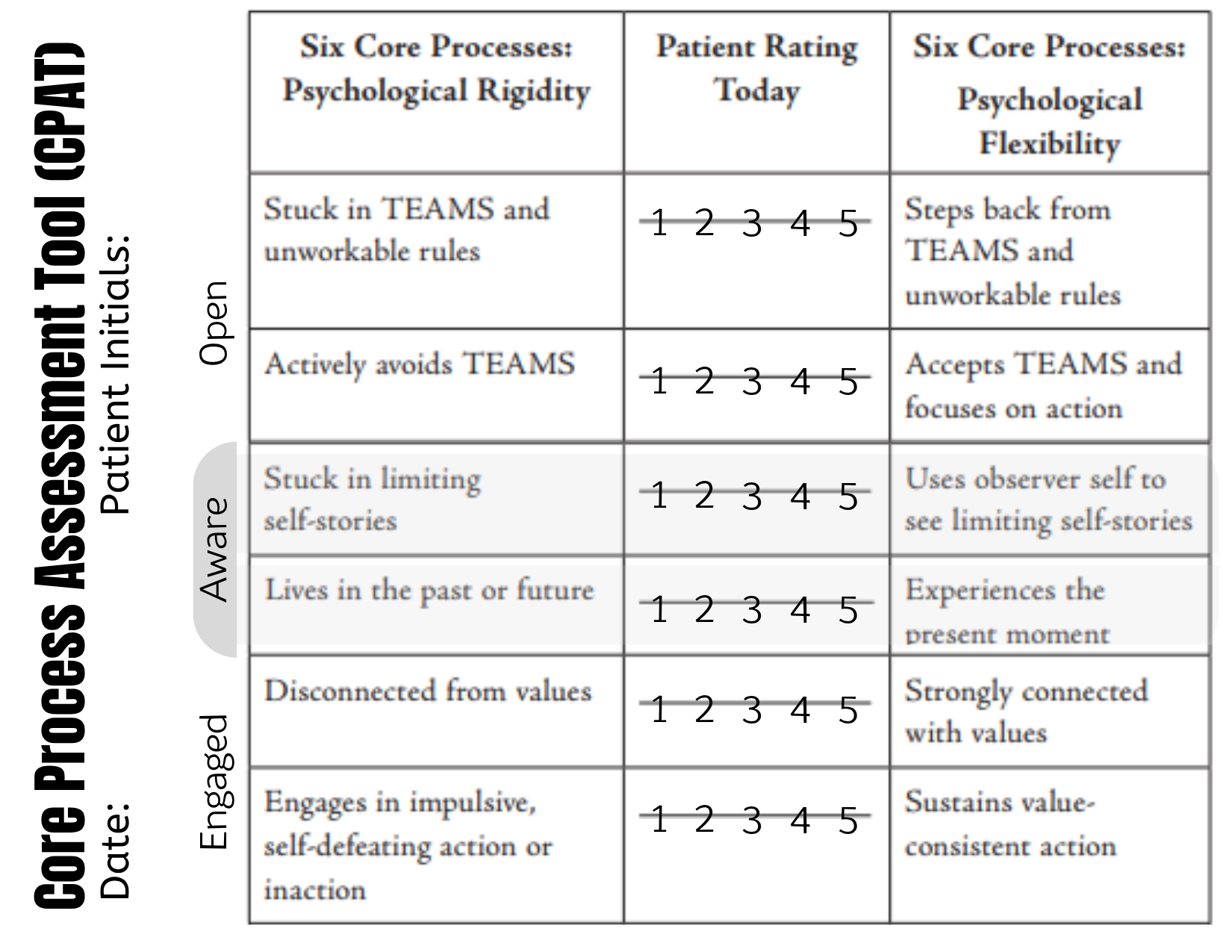 The Core Process Assessment Tool (CPAT)
