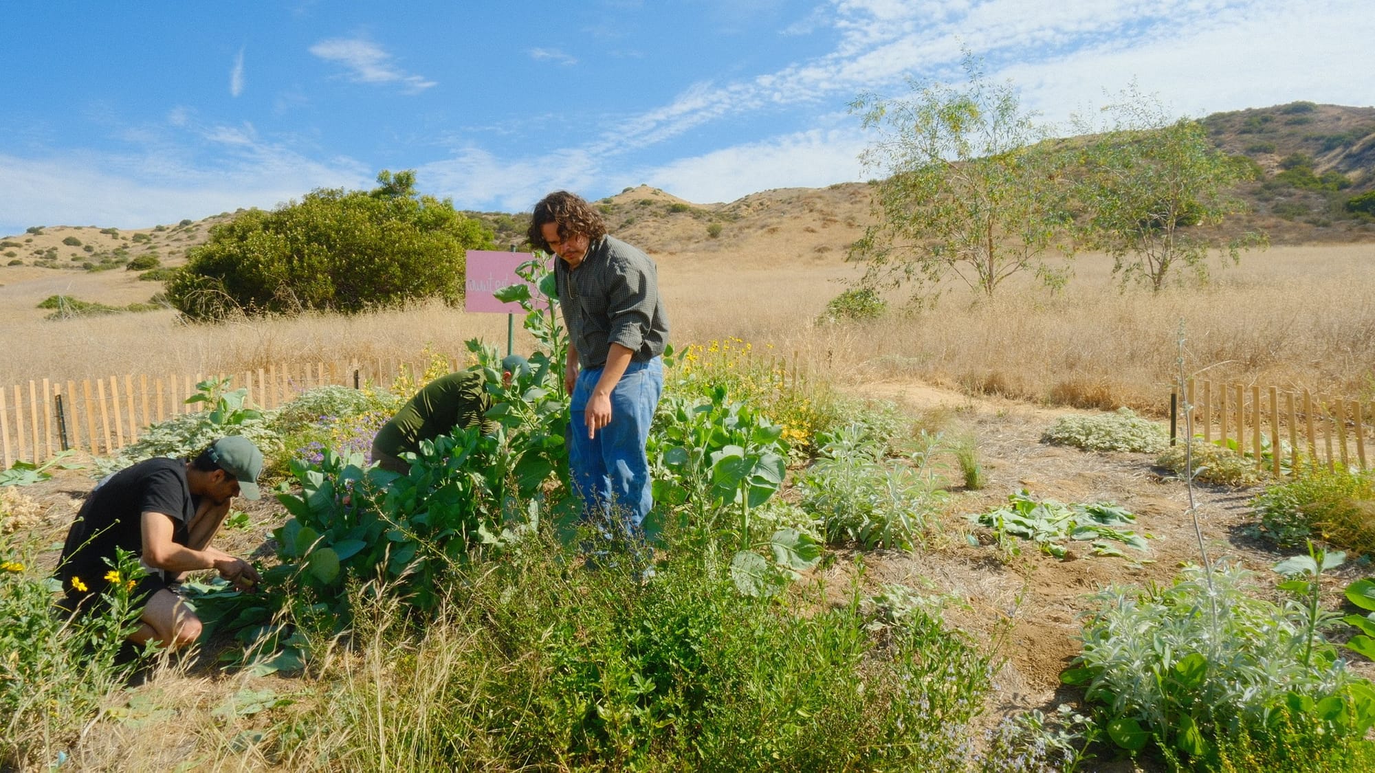 Image Credit: Test Plot – Simi Valley 