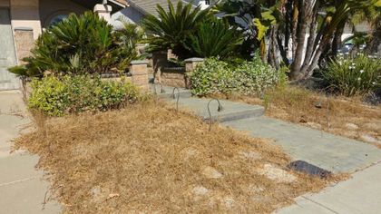 Free Class Reveals the #1 Mistake Simi Valley Gardeners Make