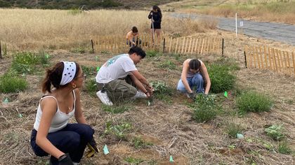 Before the Invasives: This New Simi Valley 'Test Plot' Shows Our City’s Original Wild Side