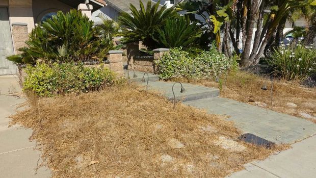 Free Class Reveals the #1 Mistake Simi Valley Gardeners Make