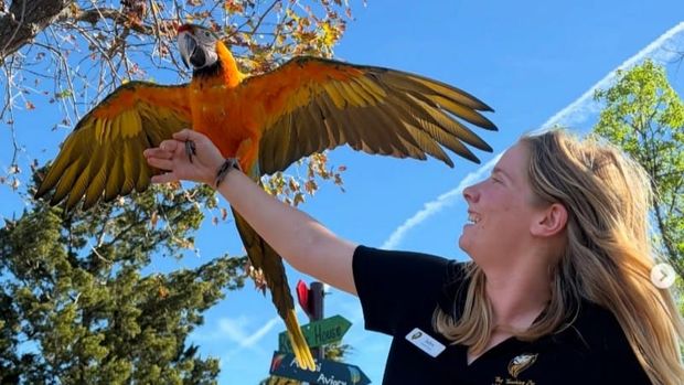 The Jungle in Our Backyard — Inside Moorpark College’s Five-Acre Living Classroom