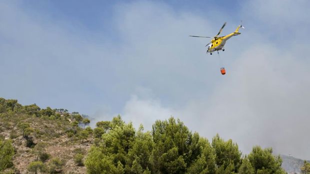 Protect Your Neighborhood: Free Wildfire Prep Event at Reagan Library Next Thursday