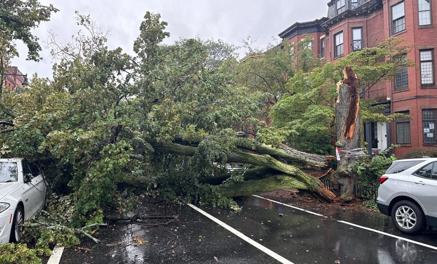 A tree falls in Boston; ICE shows up in new Dodge Chargers