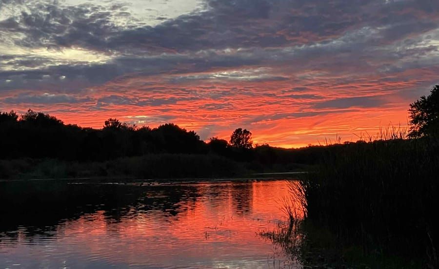 Somerville mayor doesn't even make it out of the preliminary