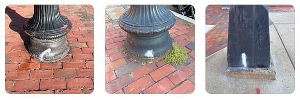 Estate of serial Republican candidate ordered to pay more than $92 million in fraud case