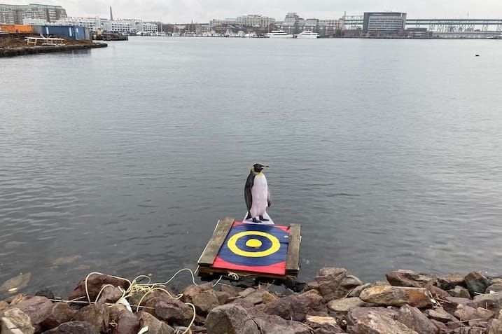 Snow, new apartments proposed, fire, more regime nonsense