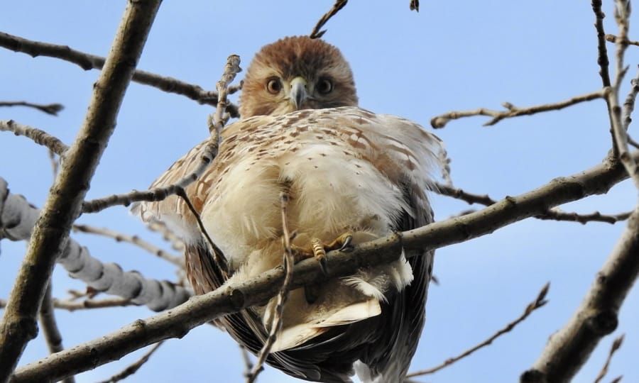 Woman charged for shove onto Green Line tracks; Tufts grad student gets right to work again