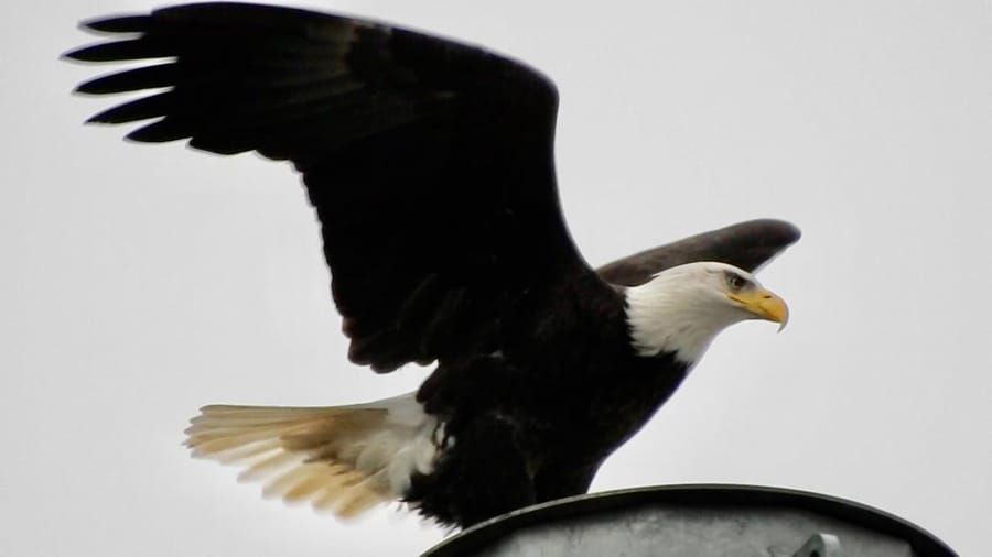 Two shot in Cambridge; house burns down in Dorchester