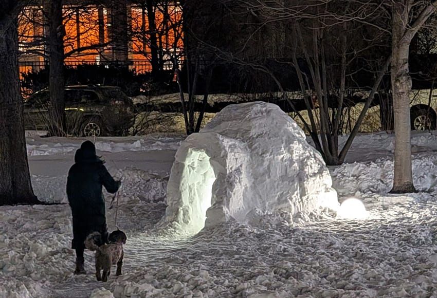 ICE doesn't wait for conviction of alleged surgery-performing non-doctor