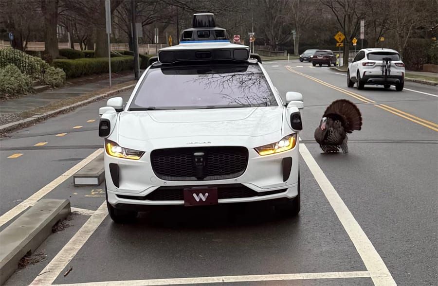 Squirrel shorts out local AM station; Judge blocks half-assed regime college data demand