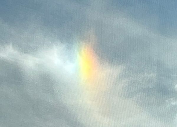 Sun dog over Dorchester; woman locked up at Logan for four days