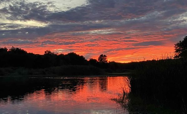 Somerville mayor doesn't even make it out of the preliminary