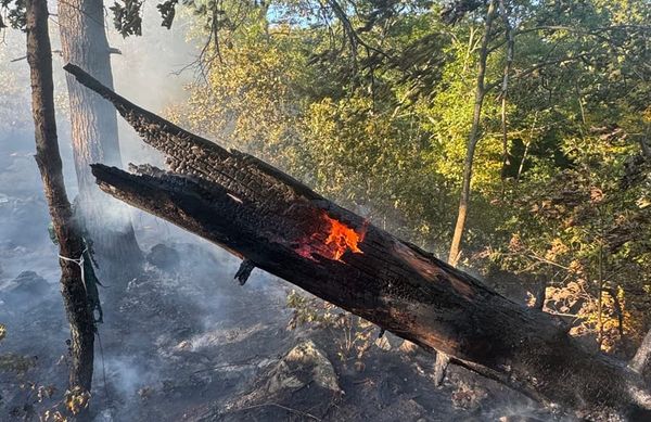 Regime sues Boston; state breaks from failing CDC on vaccines